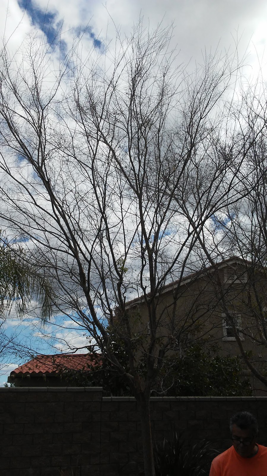 Temecula, California