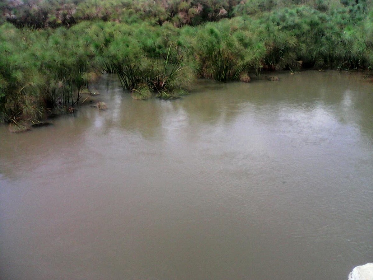 Lafayette, Louisiana